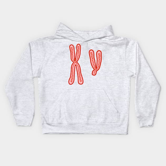 X and Y Chromosomes Kids Hoodie by labstud